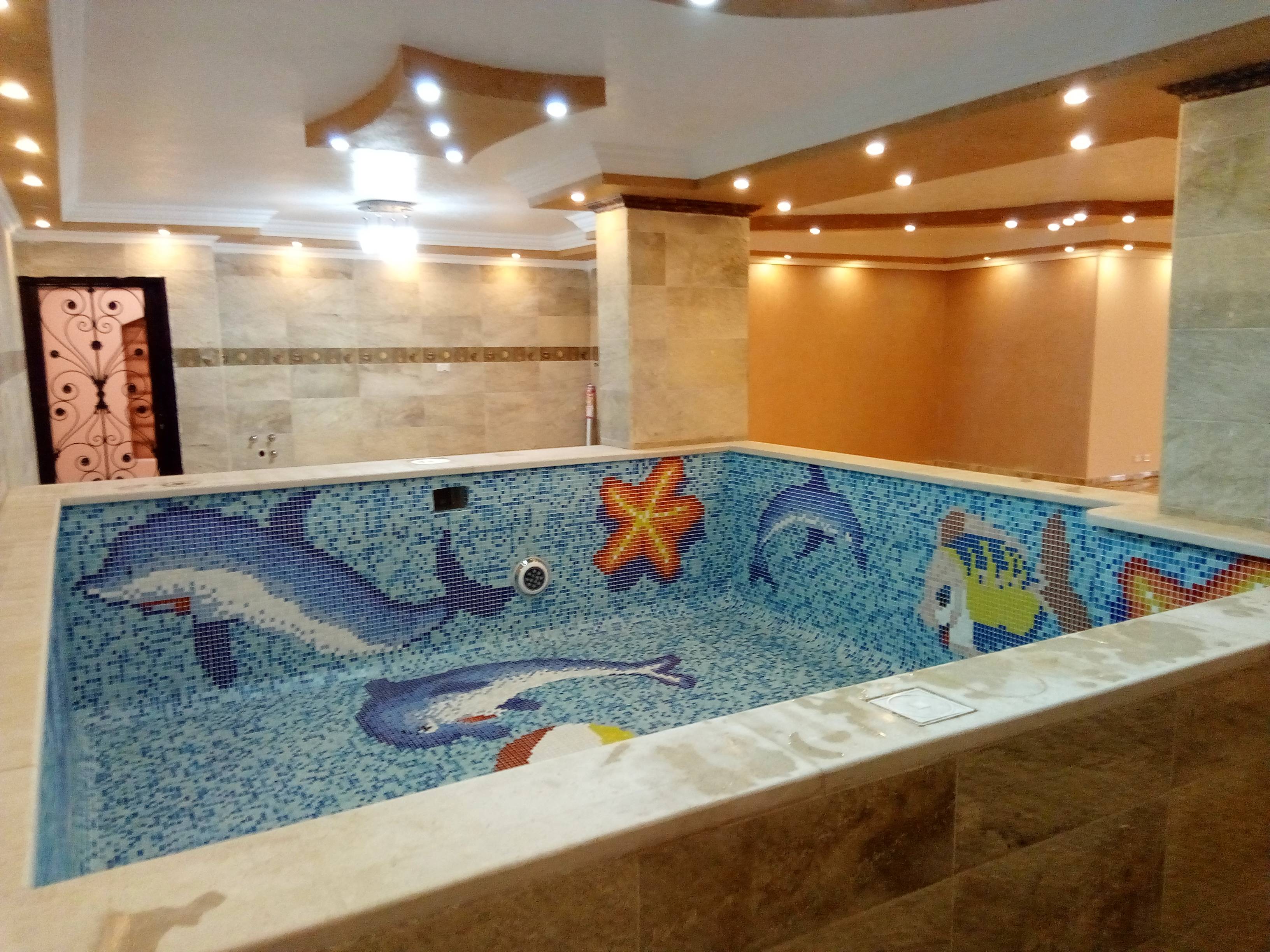 حمام سباحه فيلا خاصه إسكيمر حدائق الاهرام